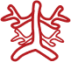 Angiologia